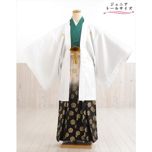 160cm前後対応 小学校卒業式 ジュニア紋付袴レンタル 男 jbmo822-4【フルセット】大きめ12歳前後 小学生 羽織袴 男性着物 貸衣装 kimono イベント 和服 往復送料無料 「白地羽織武田菱×翠着物」 【サイズ】身長…158...