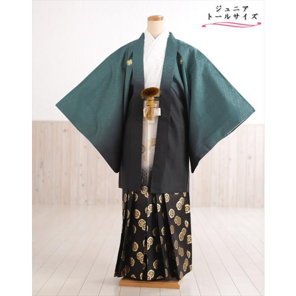 160cm前後対応 小学校卒業式 ジュニア紋付袴レンタル 男 jbmo823-4【フルセット】大きめ12歳前後 小学生 羽織袴 男性着物 貸衣装 kimono イベント 和服 往復送料無料 「緑ぼかし武田菱×白地着物」 【サイズ】身長…15...