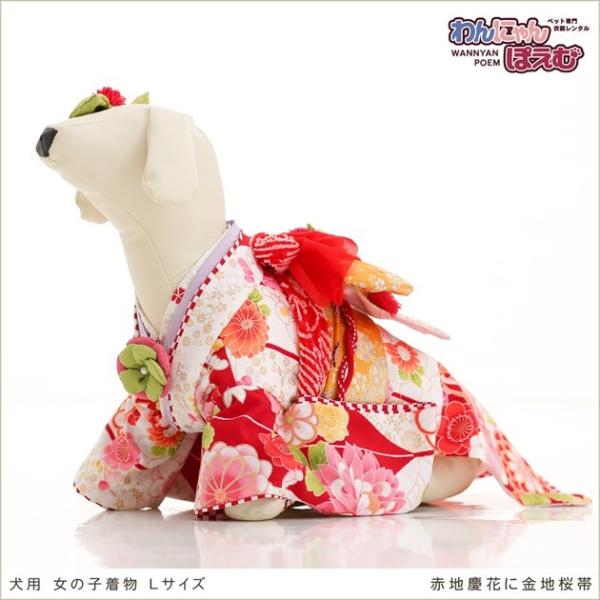 ペット着物レンタル 小型犬 女の子 klr-001 ペット衣装 犬の着物 dog 動物衣装 往復送料無料 高級生地 かわいい 結婚式 七五三 撮影会 かっこいい「赤地慶花に金地桜帯」【おすすめ用途】 七五三・初詣・結婚式・イベント・撮影会な...