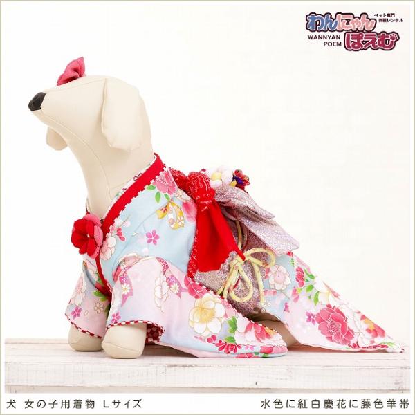 ペット着物レンタル 中型犬 女の子 klr-002 ペット衣装 犬の着物 dog 動物衣装 往復送料無料 高級生地 かわいい 結婚式 七五三 年賀状 撮影会 かっこいい「水色に紅白慶花に赤金桜帯」【おすすめ用途】 七五三・初詣・年賀状・結婚...