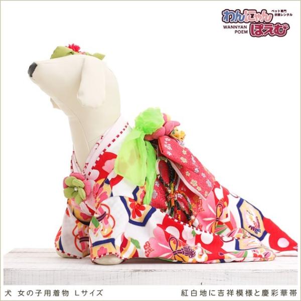 ペット着物レンタル 中型犬 女の子 klr-009 ペット衣装 犬の着物 dog 動物衣装 往復送料無料 高級生地 かわいい 結婚式 七五三 年賀状 撮影会 かっこいい「紅白地に吉祥模様と慶彩華帯」【おすすめ用途】 七五三・初詣・年賀状・結...
