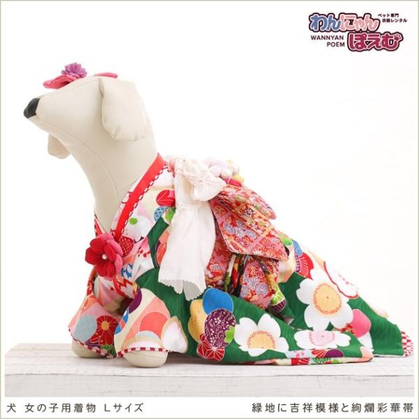 ペット着物レンタル 中型犬 女の子 klr-011 ペット衣装 犬の着物 dog 動物衣装 往復送料無料 高級生地 かわいい 結婚式 七五三 年賀状 撮影会 かっこいい「緑地に吉祥模様と絢爛彩華帯」【おすすめ用途】 七五三・初詣・年賀状・結...