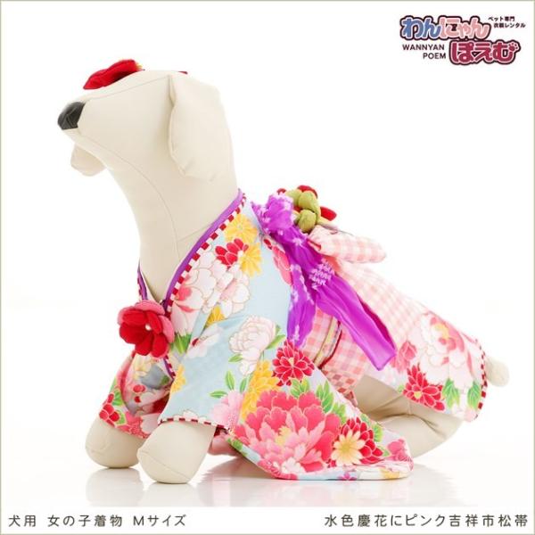 ペット着物レンタル 小型犬 女の子 kmr-001 ペット衣装 犬の着物 dog 動物衣装 往復送料無料 高級生地 かわいい 結婚式 七五三 撮影会 かっこいい「水色慶花にピンク吉祥市松帯」【おすすめ用途】 七五三・初詣・結婚式・イベント・...