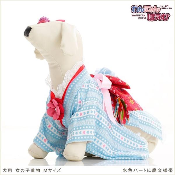 ペット着物レンタル 小型犬 女の子 kmr-008 ペット衣装 犬の着物 dog 動物衣装 往復送料無料 高級生地 かわいい 結婚式 七五三 撮影会 かっこいい「水色ハートに慶文様帯」【おすすめ用途】 七五三・初詣・結婚式・イベント・撮影会...