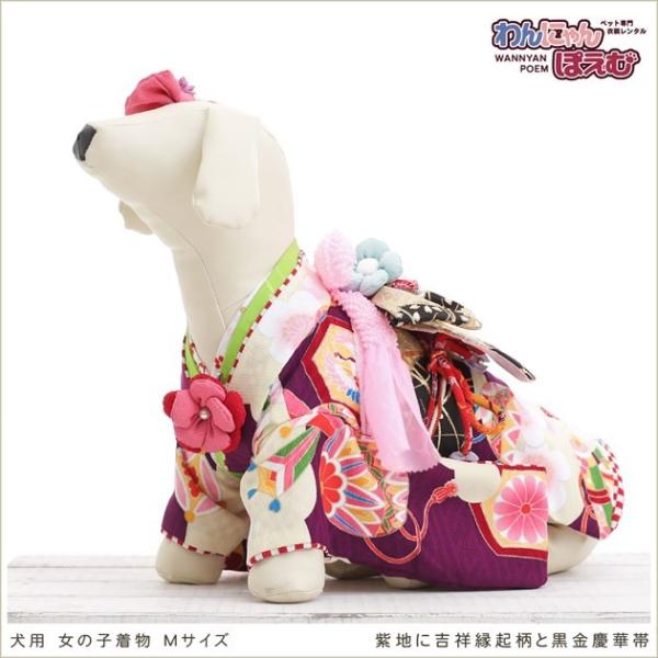 ペット着物レンタル 小型犬 女の子 kmr-010 ペット衣装 犬の着物 dog 動物衣装 往復送料無料 高級生地 かわいい 結婚式 七五三 撮影会 かっこいい「紫地に吉祥縁起柄と黒金慶華帯」【おすすめ用途】 七五三・初詣・結婚式・イベント...