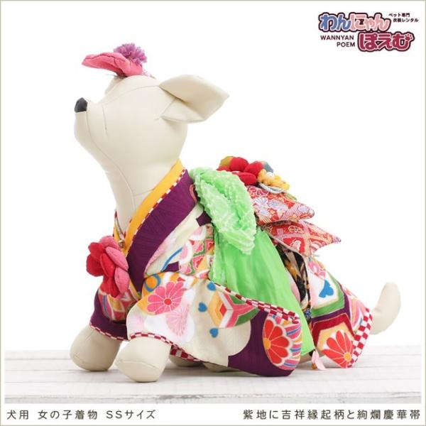 ペット着物レンタル 小型犬 女の子 kssr-012 ペット衣装 犬の着物 動物衣装 往復送料無料 高級生地 かわいい 結婚式 七五三 撮影会 かっこいい「紫地に吉祥縁起柄と絢爛慶華帯」【おすすめ用途】 七五三・初詣・結婚式・イベント・撮影...