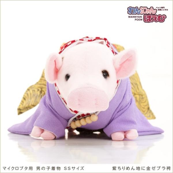 マイクロブタ着物レンタル ペット 男の子 pdss-001 ペット衣装 ぶた着物 動物衣装 往復送料無料 高級生地 かわいい 年賀状 七五三 撮影会 おしゃれ「紫ちりめん地に金ゼブラ袴」【おすすめ用途】 七五三・初詣・年賀状・イベント・撮影...