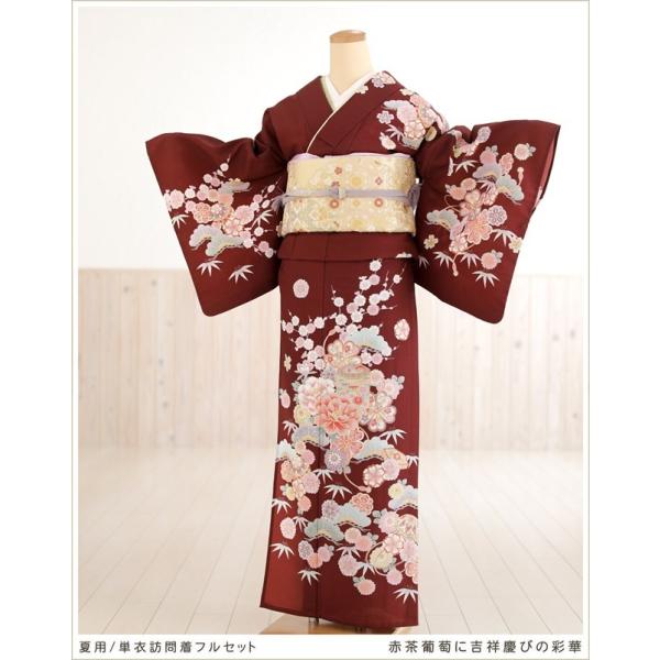 夏用 単衣 訪問着レンタル sh1099 着物レンタル フルセット ママ 母親