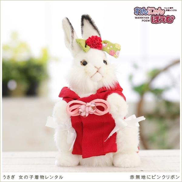 うさぎ着物レンタル ペット 女の子 uk-001 ペット衣装 うさぎ着物 動物衣装 往復送料無料 高級生地 かわいい 年賀状 七五三 撮影会 おしゃれ「赤無地にピンクリボン」【おすすめ用途】 七五三・初詣・年賀状・イベント・撮影会など【適応...