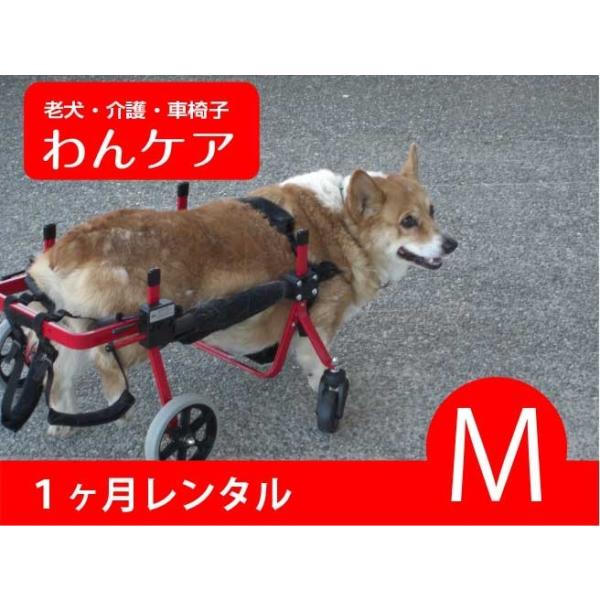 1ヶ月レンタル延長　４輪の犬の車椅子　K9カート犬用車椅子サポート M（11kg-18kg未満)　犬　車椅子　車イス　コーギー　ミックス　柴犬　中型犬
