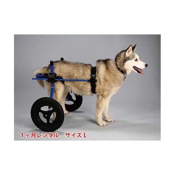 1ヶ月レンタルの犬用車椅子。後ろ足サポート。犬用車椅子の1ヶ月レンタルです。「K9カート犬用車椅子」は愛犬の体の大きさによって、 スタンダードがXS-Lまでの６種類があります。車椅子ご注文後はサイズ選びの失敗がないように、当店より「採寸表」...