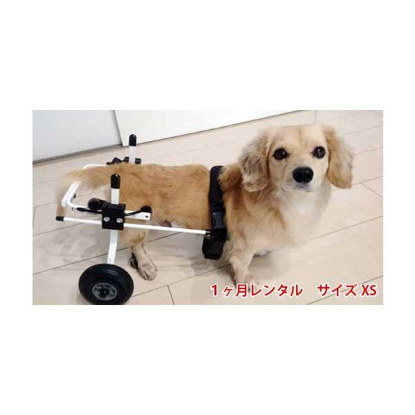 1ヶ月レンタル K9カート犬用車椅子後脚サポート XS・猫(5kg未満 1ヶ月レンタル K9カート犬用車椅子後脚サポート XS・猫(5kg未満