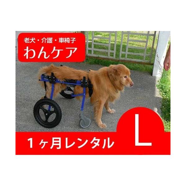 この商品はすでに４輪の車イスをレンタルされている方が対象です。