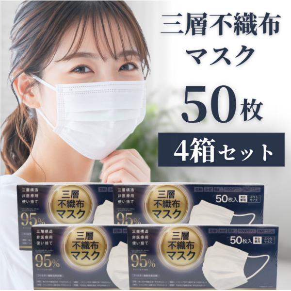 三層不織布マスク 50枚入 4箱 計200枚 大容量 まとめ買い ふつうサイズ 男女兼用 花粉 飛沫 ハウスダスト ヒロコーポレーション 爆買
