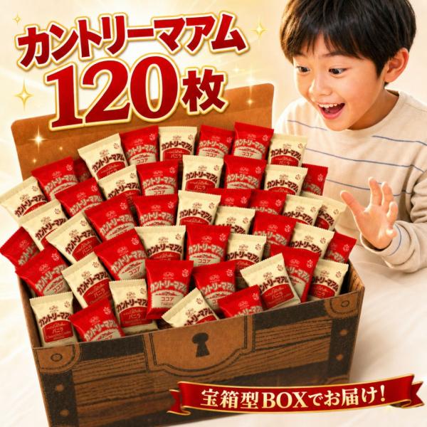 カントリーマアム 120個 お菓子 詰め合わせ 宝箱便 バニラ60 ココア60 不二家 クッキー 個包装 大容量 アソート