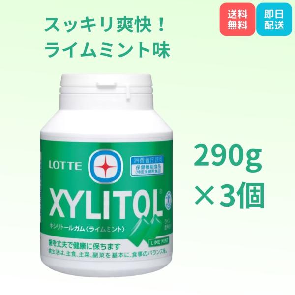 ロッテ キシリトールガム ライムミント 290g×3個 ボトルタイプ 特定保健用食品 大容量 LOTTE ガム お口リフレッシュ