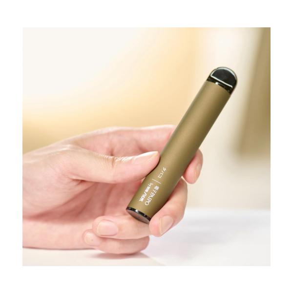 電子パイポ マルマン 禁煙パイポ サクセス タバコ風味 ニコチン0