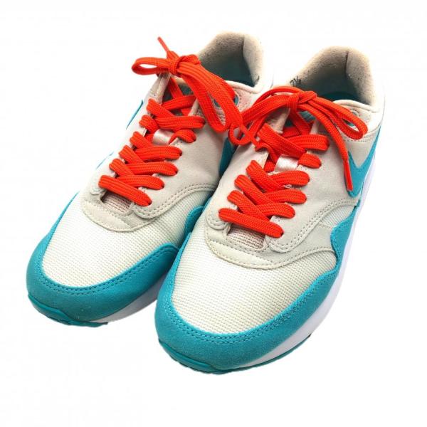 NIKE（ナイキ） ゴルフシューズ 白×ライトブルー DV1403-117 エア