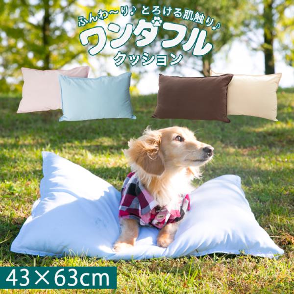 ブラックの犬用クッション Petselect by Nihonikuji 公式オンラインショップペットセレクト