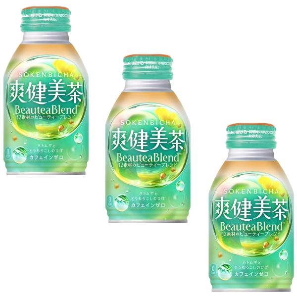 爽健美茶 3ケースセット 即納 290ml ボトル缶 (温冷兼用) × 24本 1