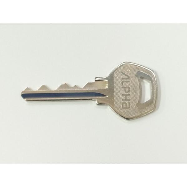 ALPHAiAt@jЁ@sV_[@q̂ i[1j ܂͖{݂̂B  alpha At@ alpha@RJM