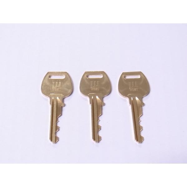 EGXg sV_[q̂ (R{)iR{ZbgiɂȂ܂)i[RTԁj@܂͖{݂̂B