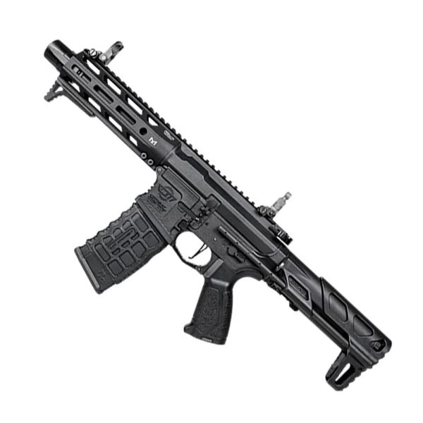 G&G ARMAMENT 電動ガン ARP556 2.0 電子トリガー搭載 EGC-556-V02-BNB