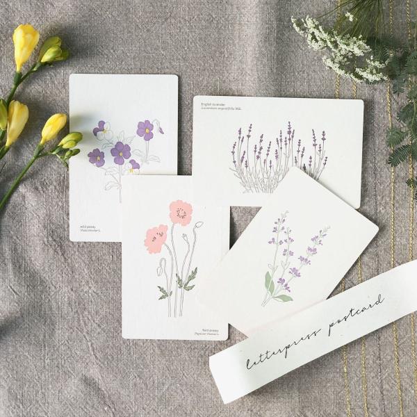 ポストカード おしゃれ 絵葉書 手紙 植物 花 フラワー 活版印刷 プロペラスタジオ
