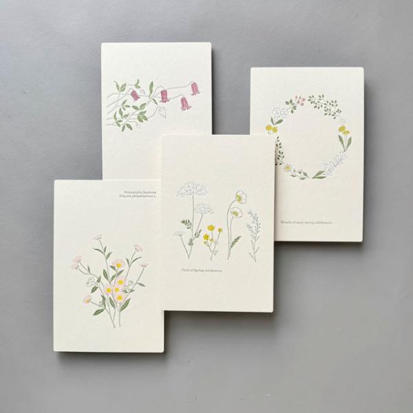 ポストカード おしゃれ 絵葉書 手紙 植物 花 フラワー 活版印刷 プロペラスタジオ