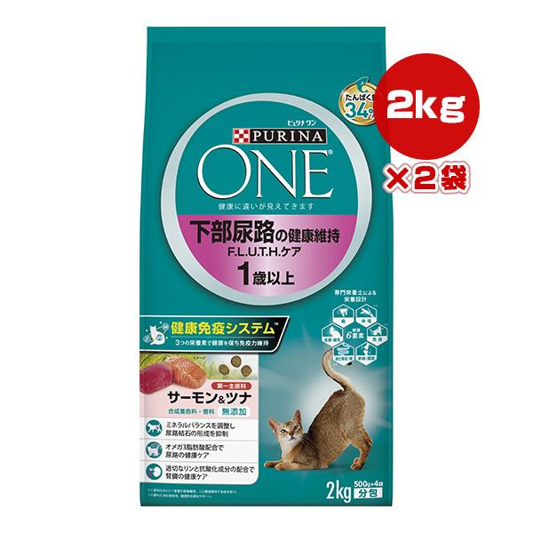 ピュリナワン ピュリナ ワン キャット 下部尿路の健康維持