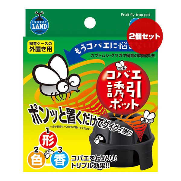 【同梱可】形・色・香りの３要素でコバエを誘引し殺虫するポット。●材質容器：PPシール：PETスポンジ：PU有効成分：ジノテフラン(ネオニコチノイド系殺虫成分)●サイズ幅75×奥行75×高さ50mm●原産国日本