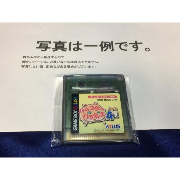 ハムスターパラダイス4/ゲームボーイ