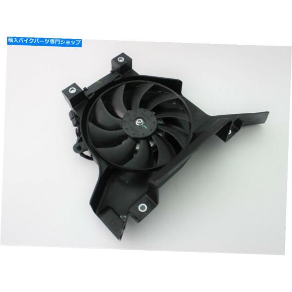 reright-store_usdm-5513-1481