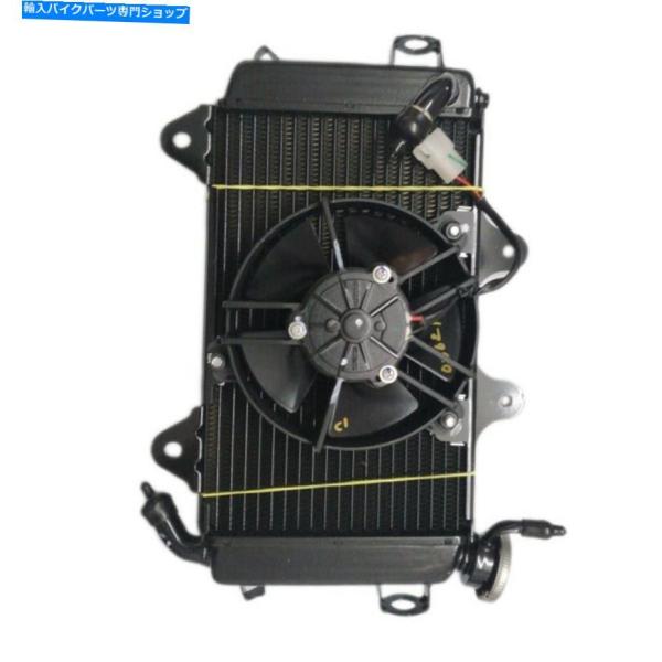 reright-store_usdm-5513-18