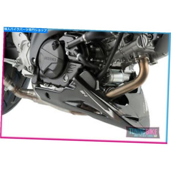 POWERBRONZE SV650 カーボンルックハガー Powerbronze Rear