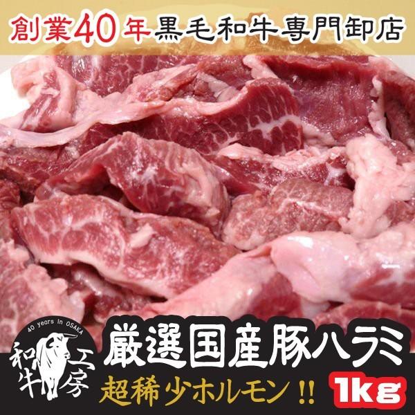 肉 お歳暮 ギフト 21新鮮 国産豚 ハラミ サイコロステーキ 500ｇ 2パック 計 1kg 味付けなし たれセット付 送料無料 Butaharami 1k 特選和牛問屋直営 ホルモンねっと 通販 Yahoo ショッピング