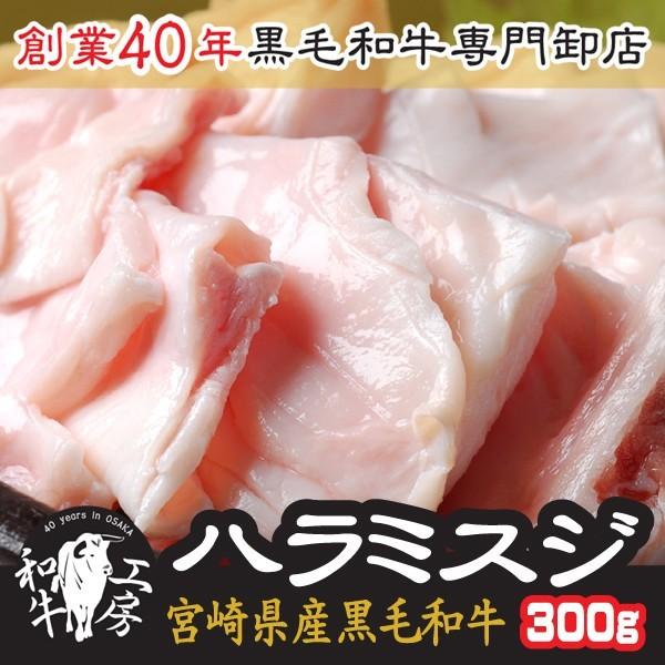 z nXW  BBQ  {茧Y јa n~XW 100g×3pbN v300g  ynXW300z