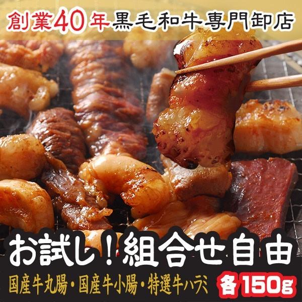 肉 もつ鍋 お試し 8円均一 宮崎県産 和牛 丸腸 小腸 米国産 牛ハラミ 各150ｇ 焼肉 ホルモン Buyee Buyee Japanese Proxy Service Buy From Japan Bot Online