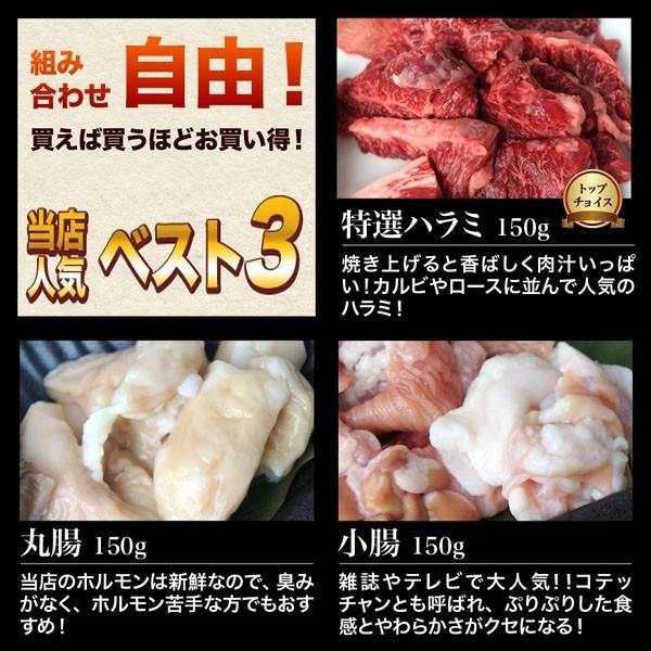 お中元 21 ギフト 肉 お試し 8円均一 宮崎県産 和牛 丸腸 小腸 米国産 牛ハラミ 各150ｇ 焼肉 ホルモン 鍋 Buyee Buyee Japanese Proxy Service Buy From Japan Bot Online