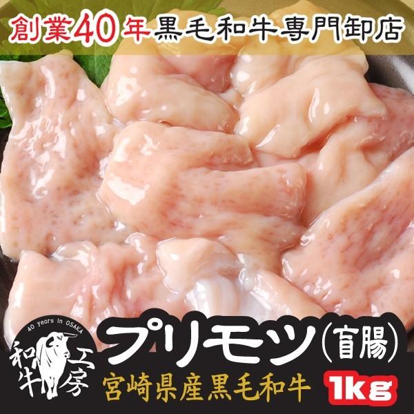 z  BBQ  {茧Y јa vc Ӓ 100×10pbN v1kg  ǂĎ yӒPkgz