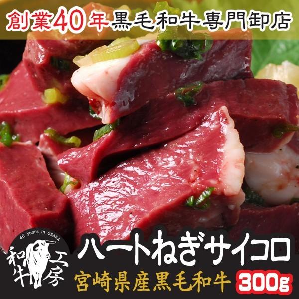 nc  BBQ {茧Y јa n[g̃TCR lMꖡt 100g×3pbN v300g t  zy˂nc300z