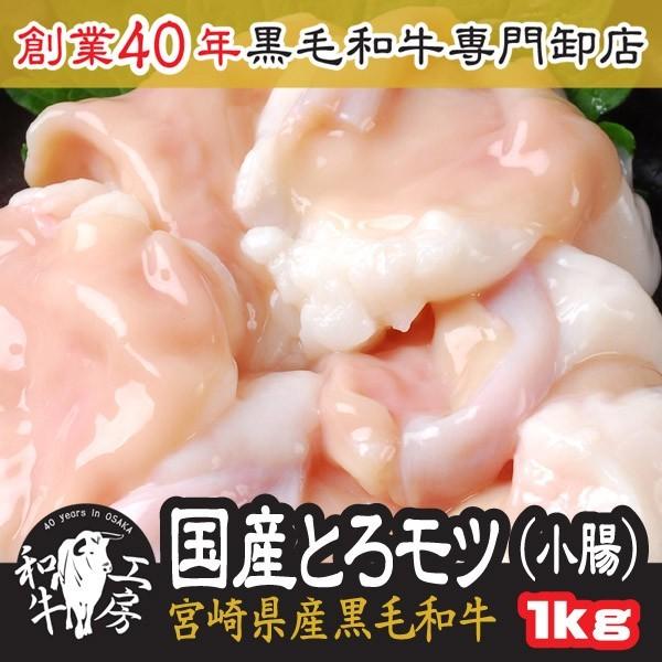 宮崎県産 黒毛和牛 上ホルモンとろモツ【小腸】1ｋｇ入りです。　　200ｇを5パックの小分けの真空パックでとっても便利。もつ鍋の具材として当店リピータ購入ダントツ第1位！美味しくコラーゲン摂取！！●只今、雑誌やテレビに出て大ブレイク中！●☆...