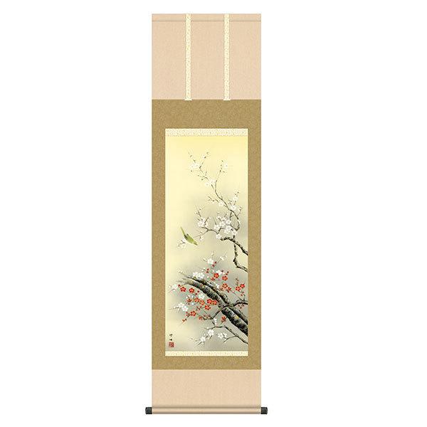 | ̊ t| g~ c| ڎO 44.5×1164 KZ2A2-049