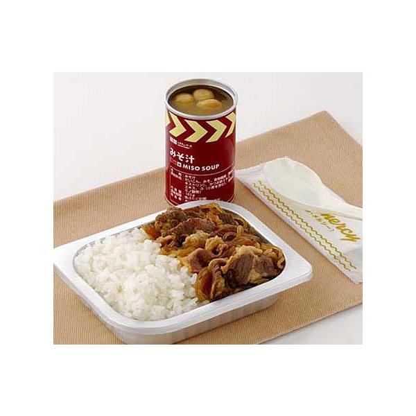 レスキューフーズ 一食パック 牛丼 みそ汁付き 非常食 セット 保存食 防災 ホリカフーズ 防災グッズ 備蓄用品 備蓄品 非常用 避難 震災 災害対策 地震対策