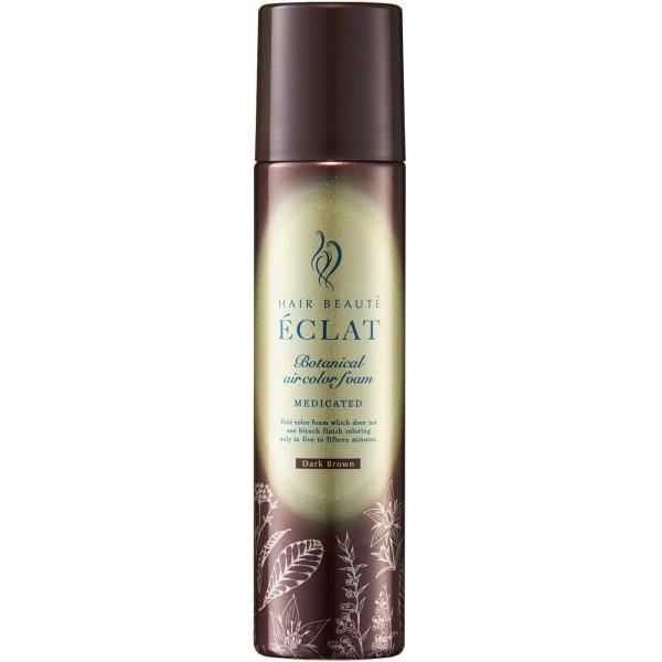 大容量 ヘアボーテエクラ ボタニカル エアカラーフォーム EX ダーク