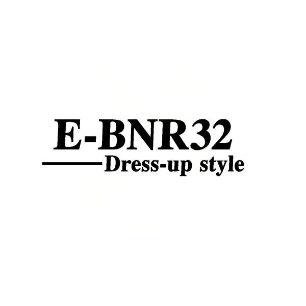 スカイライン GT-R E-BNR32 E-BCNR33 GF-BNR34 ドレスアップスタイル 