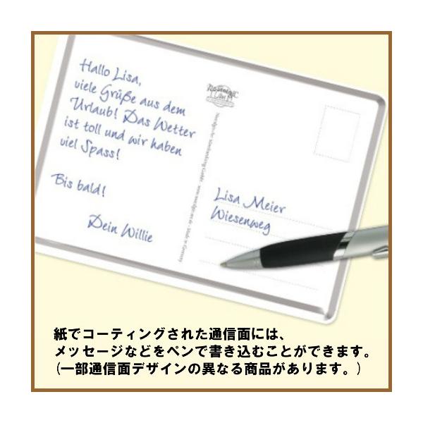 アメリカ 雑貨 ブリキ ポストカード バースデーカード 誕生日 Buyee Buyee Japanese Proxy Service Buy From Japan Bot Online