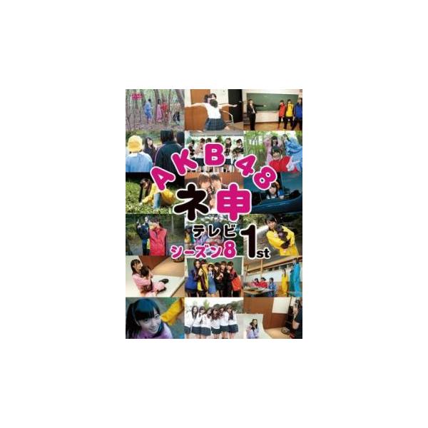 AKB48 ネ申 テレビ シーズン8  1st レンタル落ち 中古 DVD
