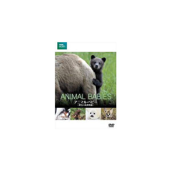 【中古】 BBC earth アニマル・ベビー 野生の成長物語 [レンタル落ち] [DVD]