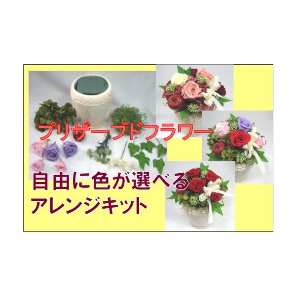 お好きなバラ、リンゴの色を選んで、アレンジが手作りできます。　≪↓ご了承下さいませ≫※画像の花器は廃番の為、白い陶器製の花器となります。 ※現在リボンは画像と多少異なっておりますが、アイボリーでご用意いたします。※花材等の色がご注文時期によ...